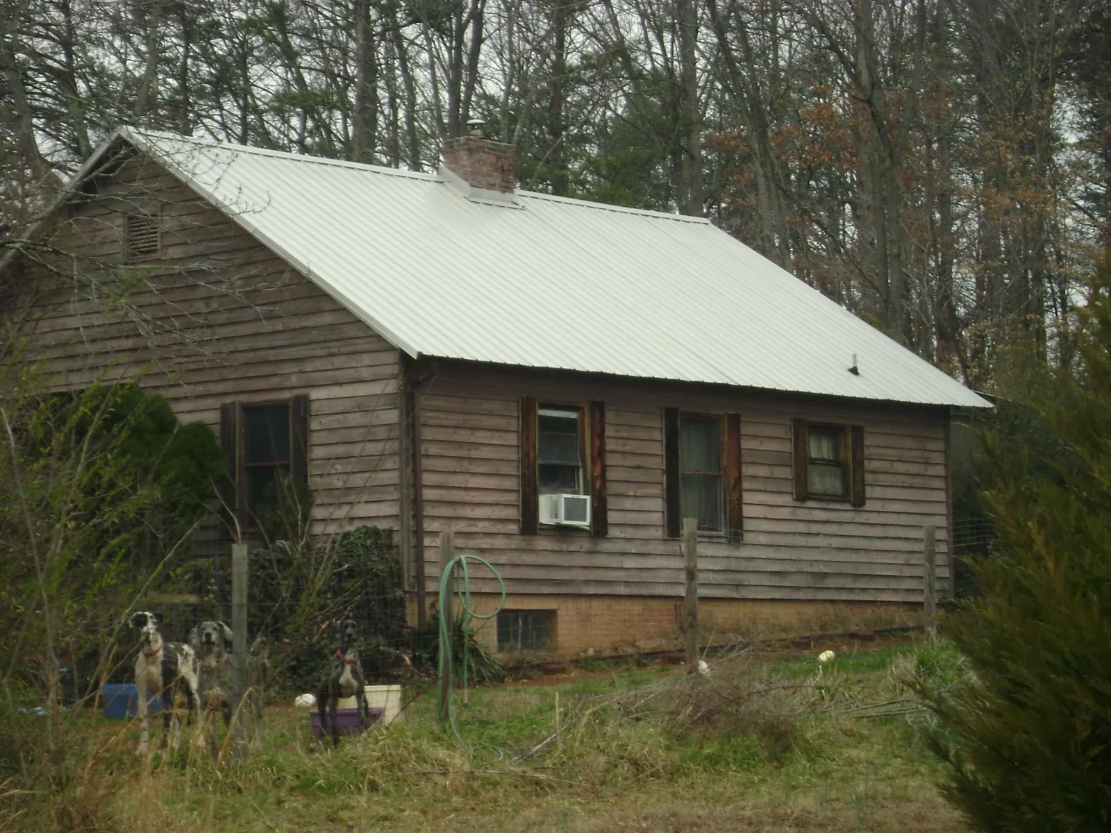 White metal roof on an old wood sided farmhouse, from a Metal Roof Installation job in Pleasant Plains